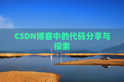 CSDN博客中的代码分享与探索